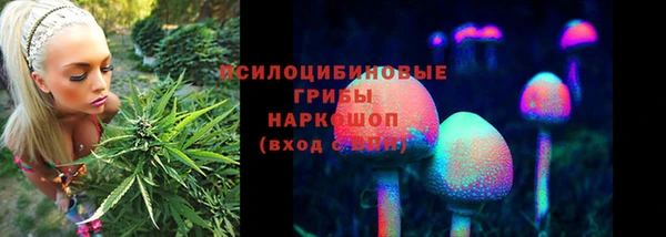 mdma Бородино